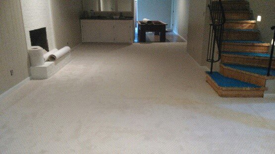 Newly installed light-colored carpet in a living room and on stairs by Plaza Carpets in Lexington, KY