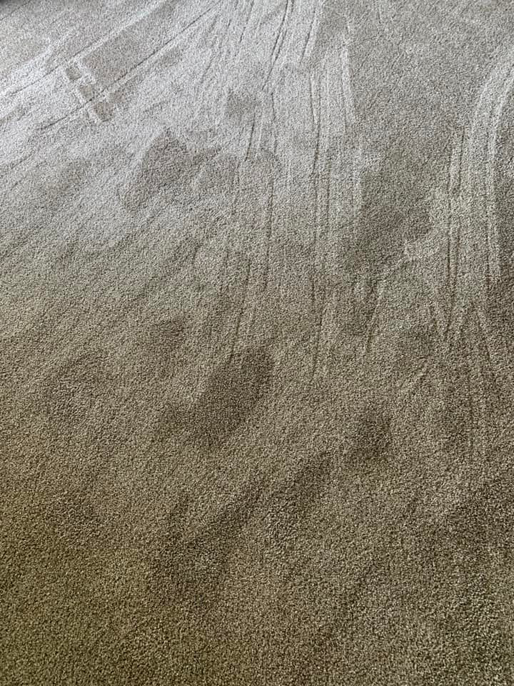 Close-up of a freshly installed carpet by Tony's Floor Covering Installation and Sales in Boise, ID.