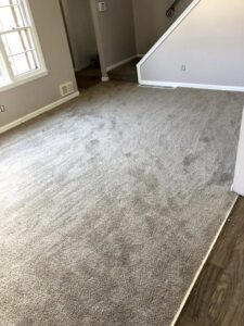 Newly installed grey carpet in a residential living room by CAP Flooring in Buffalo, NY
