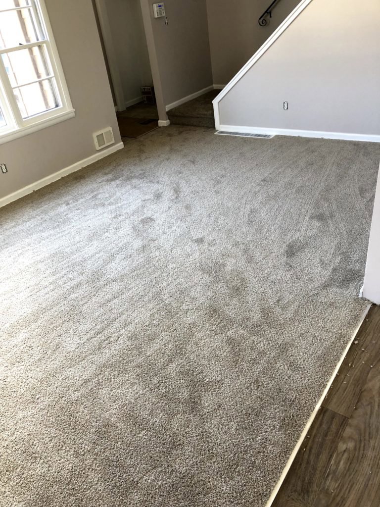 Newly installed grey carpet in a residential living room by CAP Flooring in Buffalo, NY