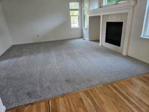 A newly installed grey carpet in a living room, transitioning to hardwood, by N-B-R Floors in Fort Collins, CO