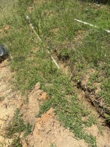 A new irrigation line being installed in a trench in a grassy area by L&L Lawn Care Service in Dothan, AL.
