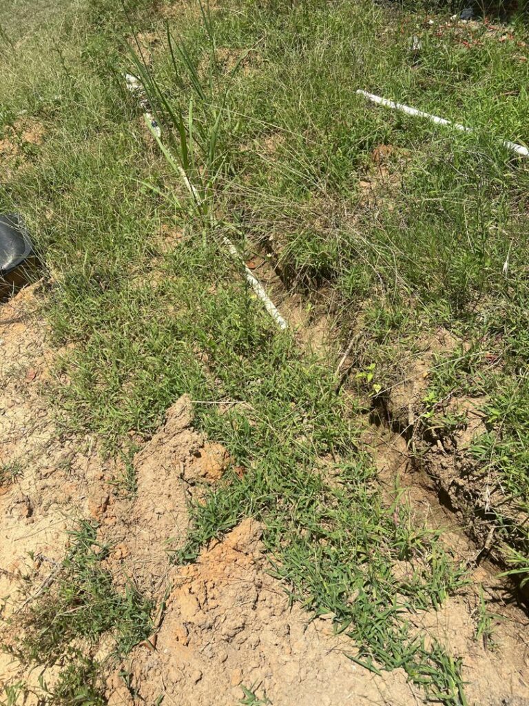A new irrigation line being installed in a trench in a grassy area by L&L Lawn Care Service in Dothan, AL.