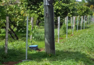 New metal fence posts installed in a line by Samoa Fencing in Faleata, Apia, Samoa.