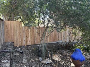 A newly installed natural wood fence providing privacy in a lush backyard, built by NTX-Exterior Services in Dallas, TX.