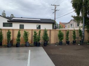 A newly installed wood privacy fence in a residential backyard by Los Angeles Fence Builders in Los Angeles, CA.