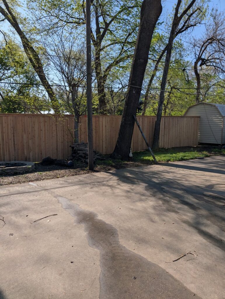A newly installed wood privacy fence in a backyard with a large tree by EverFence in Dallas, TX.