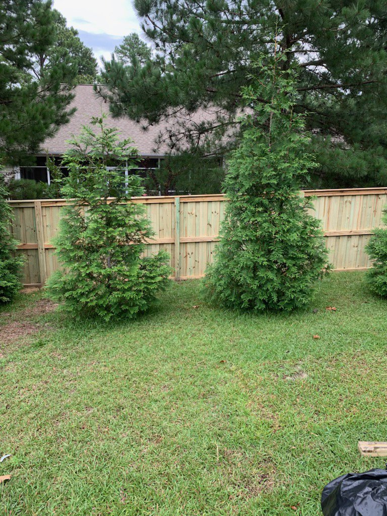 A newly installed wood privacy fence in a residential backyard by Fencingphd.nc in Fayetteville, NC.