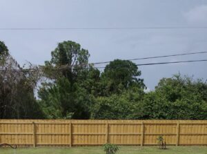 A newly installed wood privacy fence defining a backyard space, expertly crafted by Inovation Fence in Fort Worth, TX.