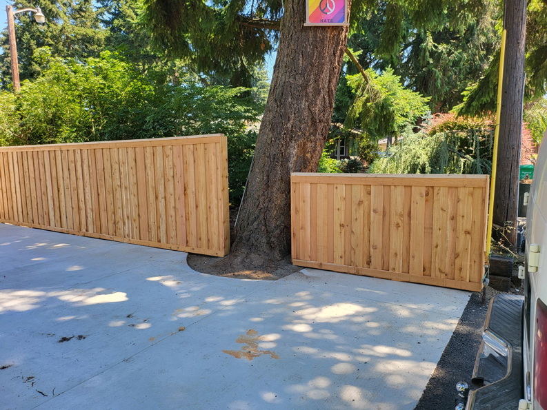 New wood privacy fence sections installed around a large tree by Jones NW Fence Company in Vancouver, WA.
