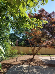 A new wood privacy fence installed in a residential backyard by CSRA Solutions in Jackson, SC.