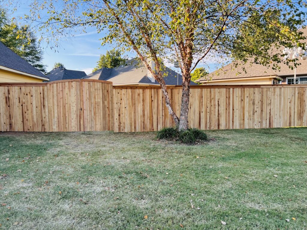 A newly installed wooden backyard fence curving around a mature tree by Ninety-One Services in Tulsa, OK