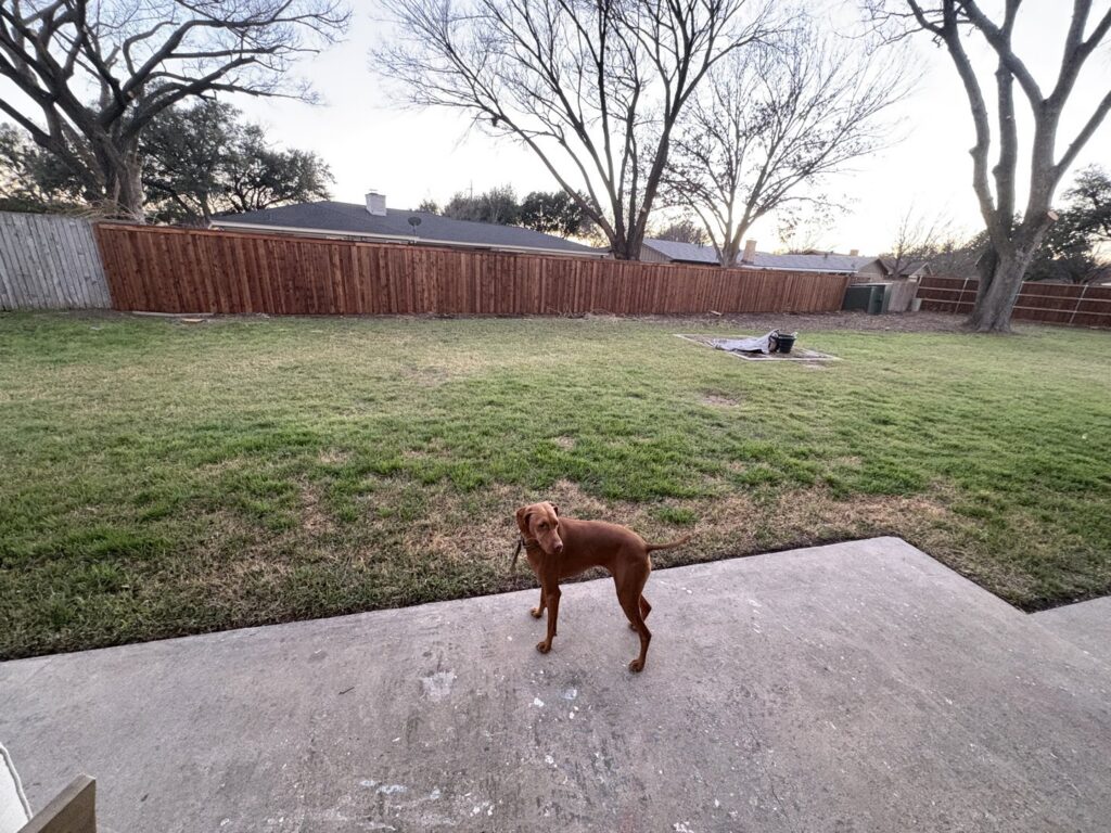 A new wooden fence installed in a residential backyard, with a dog enjoying the space, by Backyard Builders in Rockford, MI.