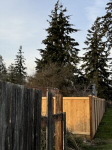 A new wooden fence section installed next to an older fence, showcasing work by Fences NW LLC in Spanaway, WA