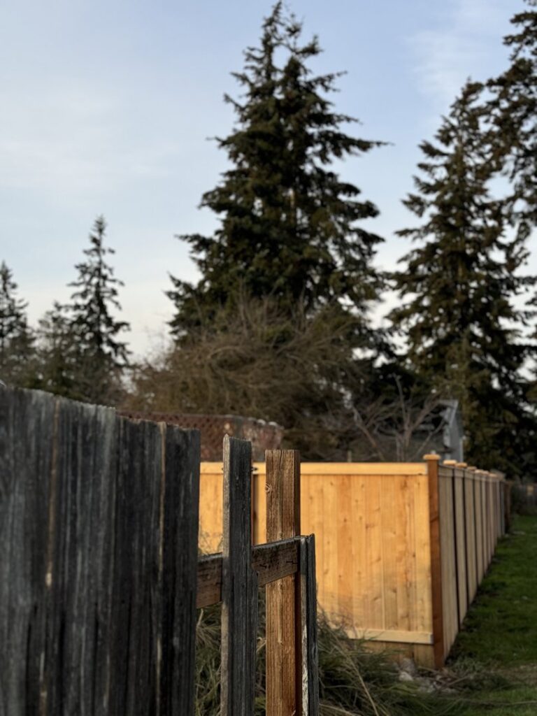 A new wooden fence section installed next to an older fence, showcasing work by Fences NW LLC in Spanaway, WA