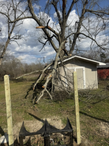 New wooden fence posts installed by Smithfield Fence in Crowder, MS, with a shed and trees in the background.