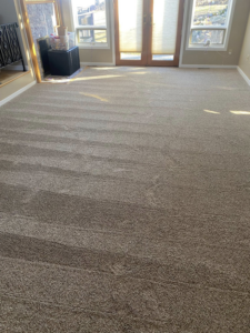 A spacious living room with newly installed beige carpet by Dodson Floorcoverings in Birdsboro, PA