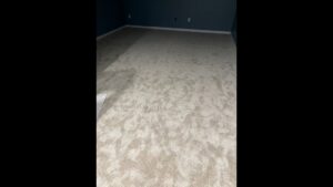 A room featuring newly installed light beige carpet, showcasing quality work by S&H Floor Covering in Cross Junction, VA.