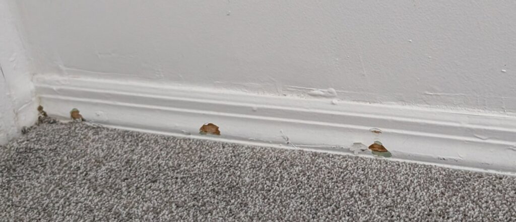 A close-up view of newly installed grey carpet meeting a white baseboard by Carpet Cabin in Fort Smith, AR.