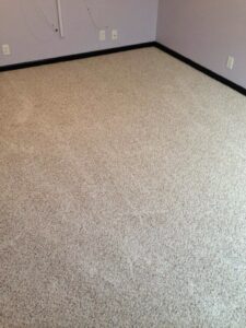 A room featuring newly installed light-colored carpet by Wall To Wall Carpet One Floor & Home in Eau Claire, WI
