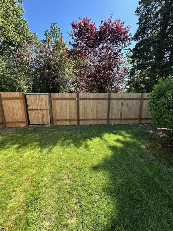 A newly installed wooden privacy fence with a gate in a residential backyard by FJ'S Fencing & Construction, LLC in Lake Oswego, OR.