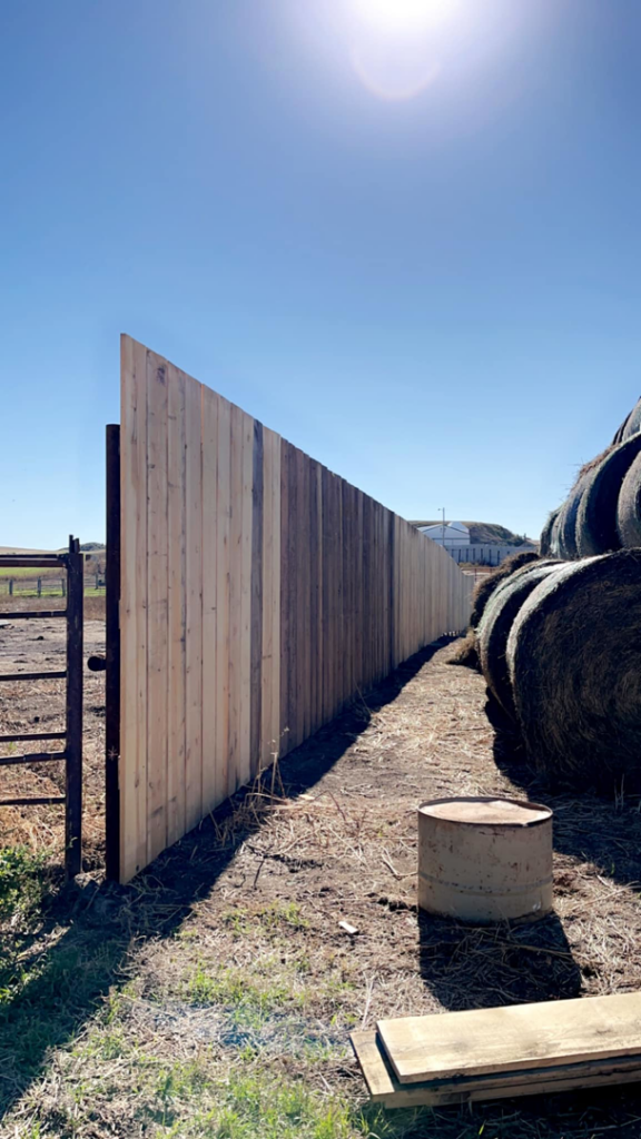 A newly installed wooden privacy or windbreak fence section in a rural setting by Bighorn Fencing in Williston, ND.
