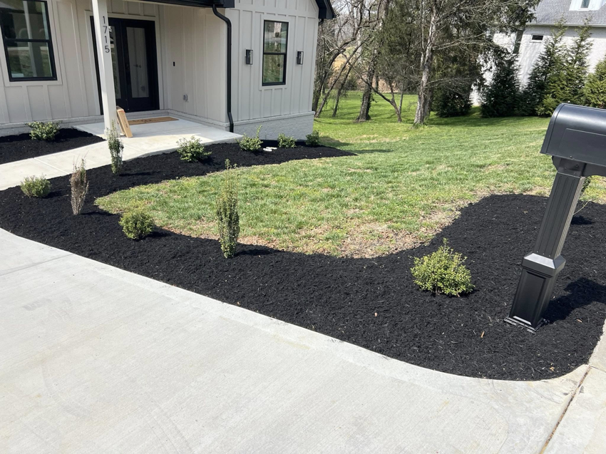 A newly landscaped front yard with dark mulch and small plants by All Things Lawncare in Knoxville, TN.