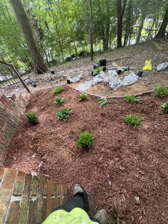 A newly mulched garden bed with fresh plantings by D&L lawn care service in Hoover, AL