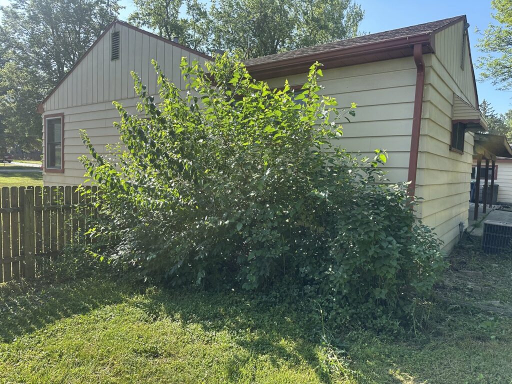 A newly mulched garden bed with small plants and landscape lighting, showcasing services by Geno's Father & Son Lawn Services Llc in Hammond, IN