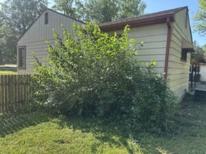 A newly mulched garden bed with small plants and landscape lighting, showcasing services by Geno's Father & Son Lawn Services Llc in Hammond, IN