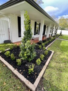 A newly planted flower bed with fresh mulch and shrubs in a front yard by Fresh Cuts Nola Lawn Service in New Orleans, LA.