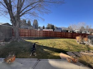 A backyard with a newly stained dark wood fence, showcasing a completed project by This And That Fence in Reno, NV.