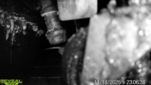 Night vision camera footage showing pest activity, used for monitoring and detection by Sequoia Pest Solutions in Bakersfield, CA.