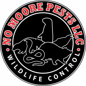 No Moore Pests