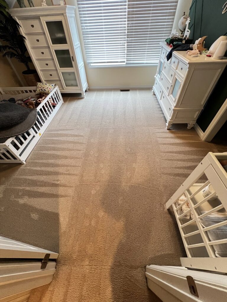 A nursery carpet showing fresh cleaning lines after service by Hartford's Carpet Cleaning in Toledo, OH