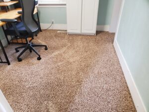 An office or room carpet with visible cleaning lines after professional service by Achilles Carpet Cleaning in Vancouver, WA.