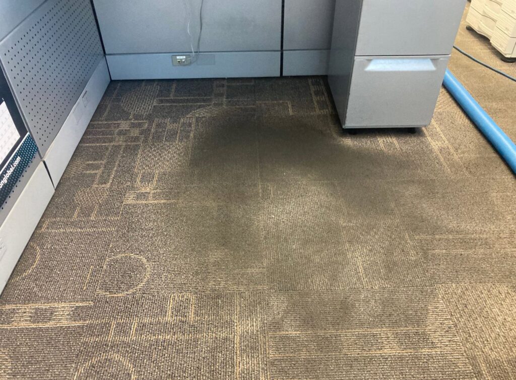 Office carpet cleaning in progress, showing a wet, darker patch where dirt is being lifted by Olen's Carpet & Upholstery Cleaning LLC in Cleveland, OH.