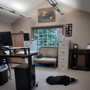 A carpeted office space with a dog resting on the floor, installed by Pape's Flooring America in Pittsburgh, PA