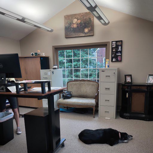 A carpeted office space with a dog resting on the floor, installed by Pape's Flooring America in Pittsburgh, PA