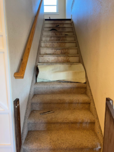 Old carpet being removed from a staircase, revealing the subfloor, by Majestic Hardwood Flooring in New Baltimore, MI.