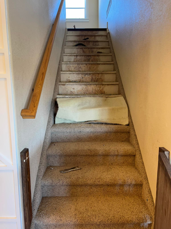 Old carpet being removed from a staircase, revealing the subfloor, by Majestic Hardwood Flooring in New Baltimore, MI.