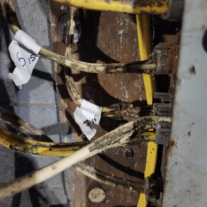 Close-up of old and potentially damaged electrical wires with labels, indicating a need for inspection or repair by SEL Electric in Truro, NS.
