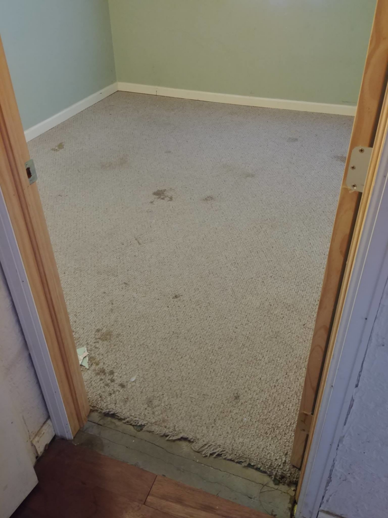 An old, stained carpet in a room before replacement by Carpet Direct of Northern Colorado in Loveland, CO.