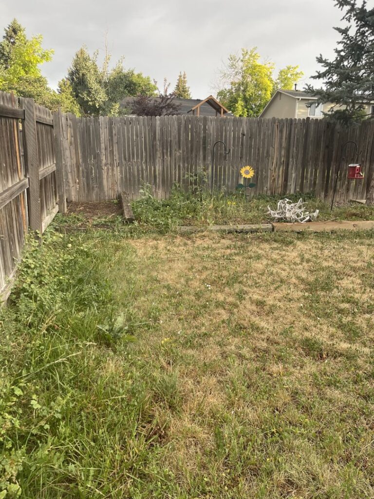 An old, weathered wooden fence in a backyard, a potential project for First Rate Fence & Supply in Denver, CO.