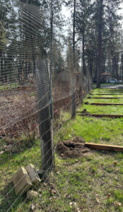 An existing wire mesh fence with wooden posts, possibly undergoing repair or replacement by BKC Fencing in Spokane, WA.