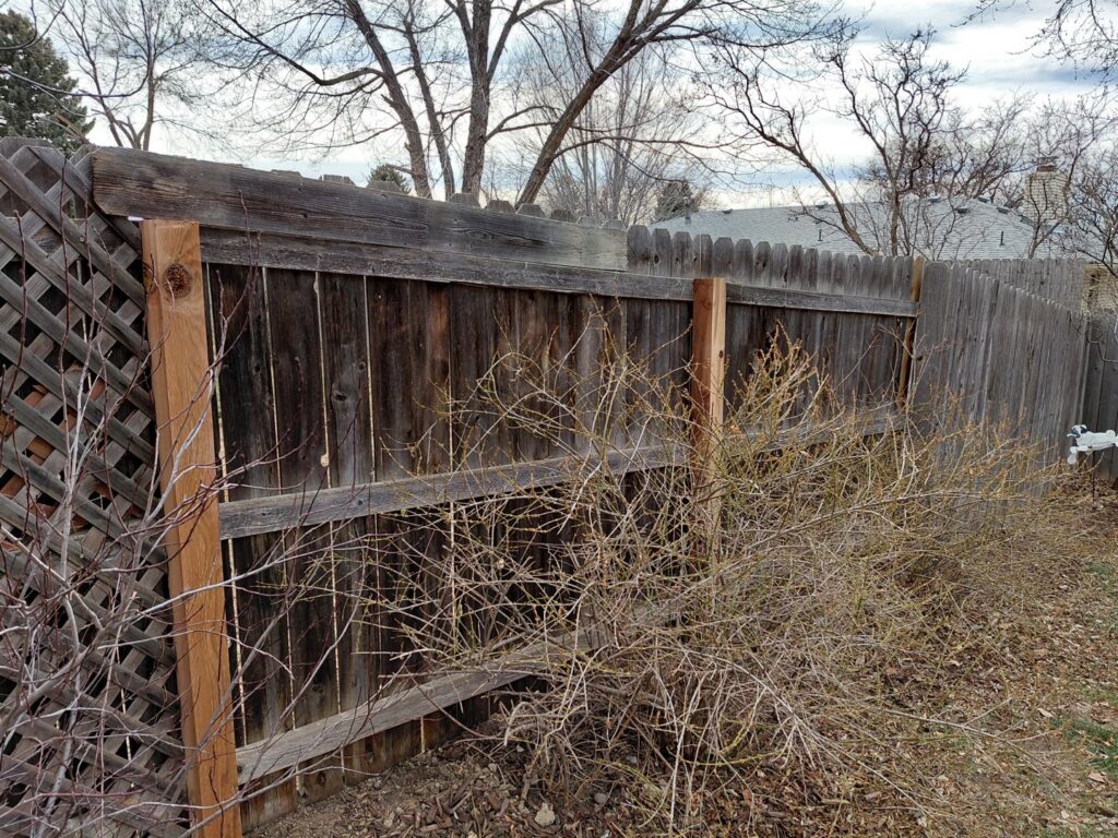 An old wood fence with new support posts installed for repair by Done Wright Fencing and Welding in Denver, CO.