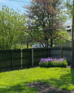 An old wood fence with new posts installed for repair by Sexton Property Services STL in High Ridge, MO.