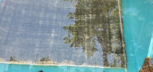 An oriental rug laid out on a blue surface, undergoing professional cleaning outdoors by Tousi Rugs in Los Angeles, CA.