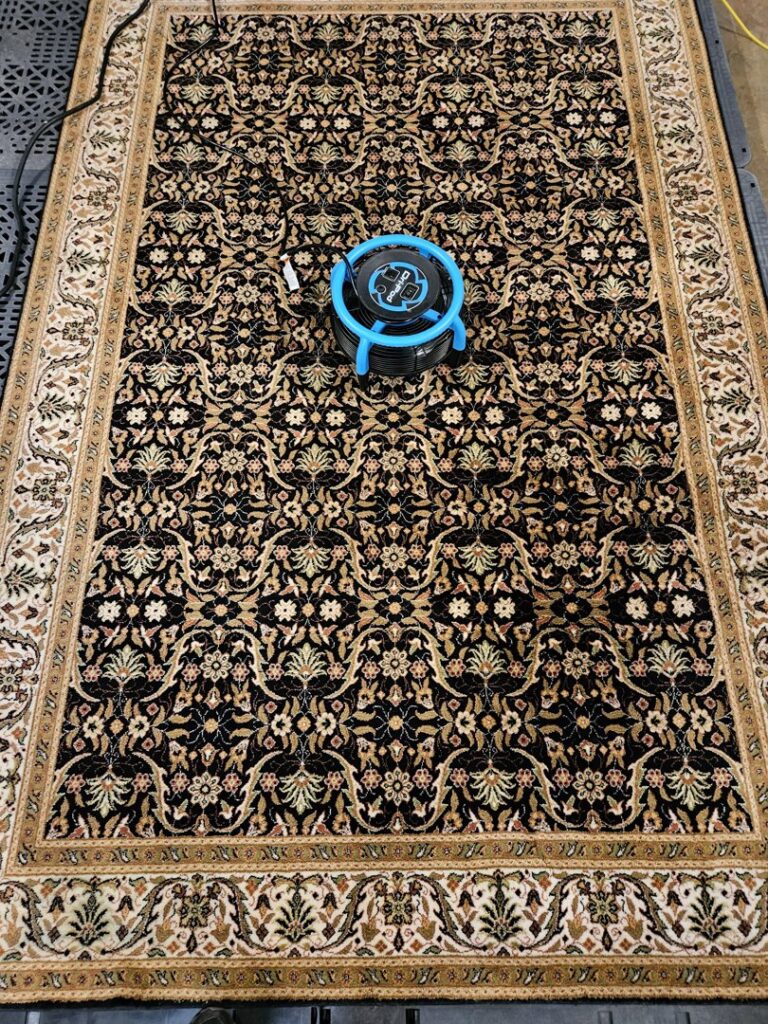 An oriental rug drying with a fan after professional cleaning by BEST Professionals Cleaning, LLC in Lancaster, PA