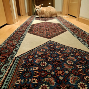A long, patterned oriental runner rug extending down a hallway, provided by Borokhim's Oriental Rugs in Madison, WI.